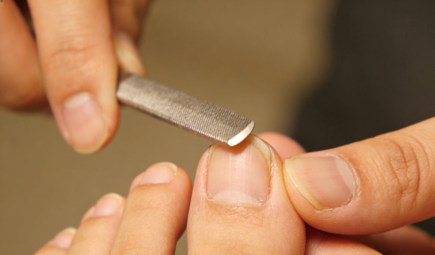 WhatsApp Image 2026-04-08 at 12