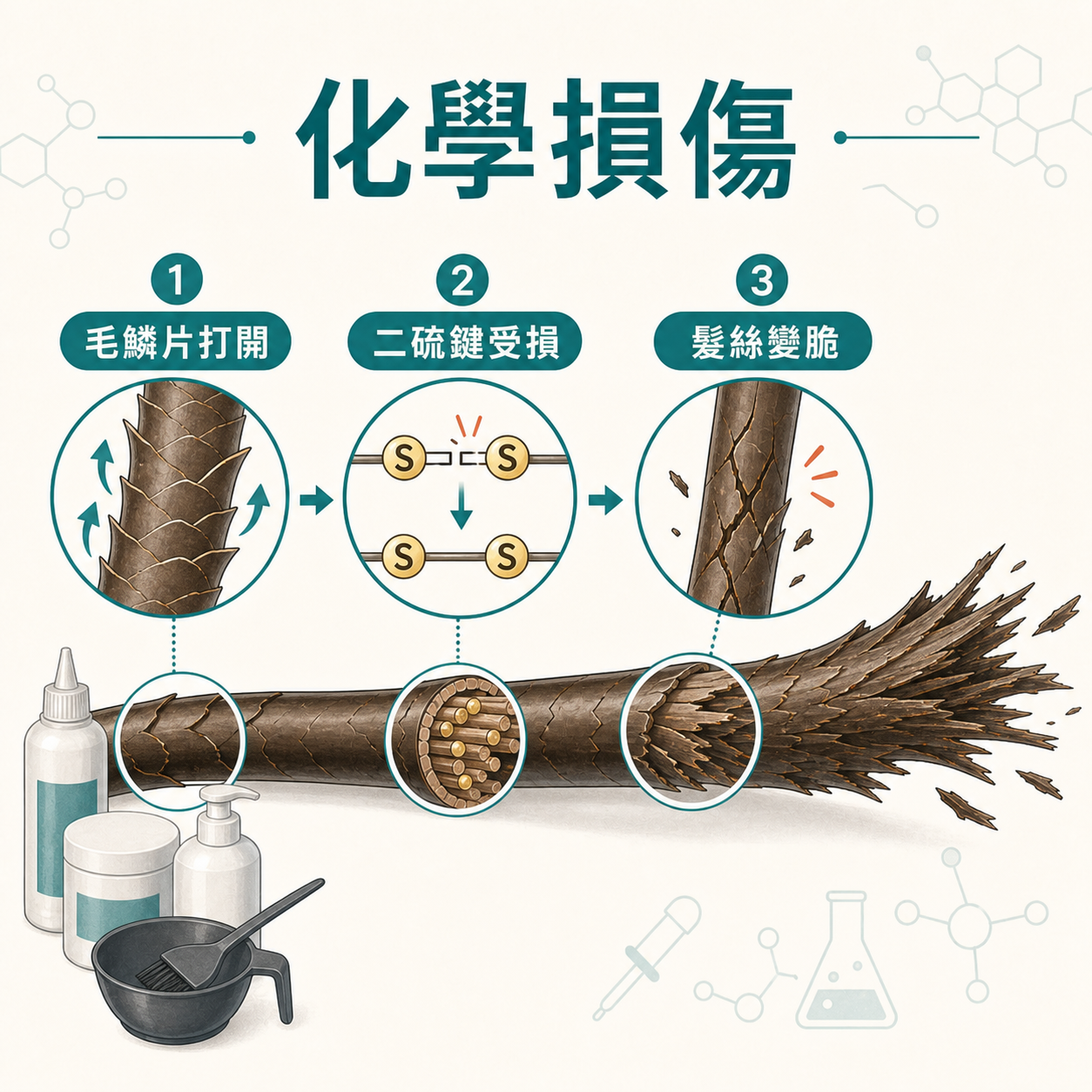漂染電髮化學損傷令毛鱗片打開二硫鍵受損插圖