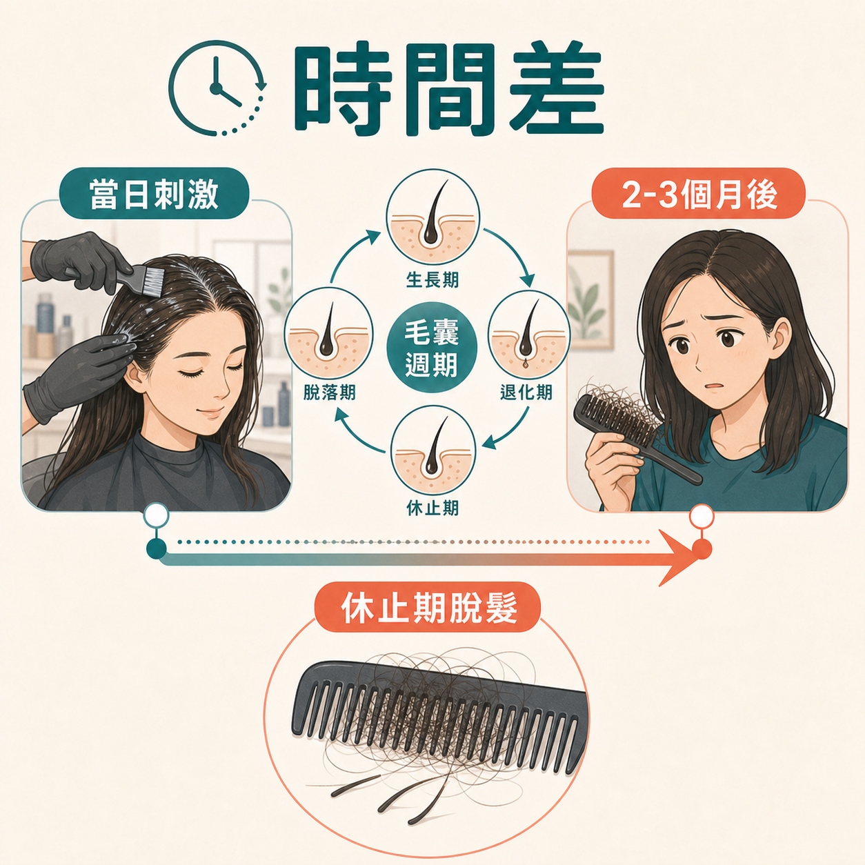 漂染電髮後兩三個月才甩髮的休止期脫髮時間差插圖