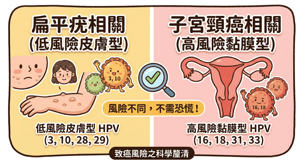扁平疣會變成癌症嗎?釐清「高風險」與「低風險」HPV 扁平疣會變成癌症嗎?釐清「高風險」與「低風險」HPV