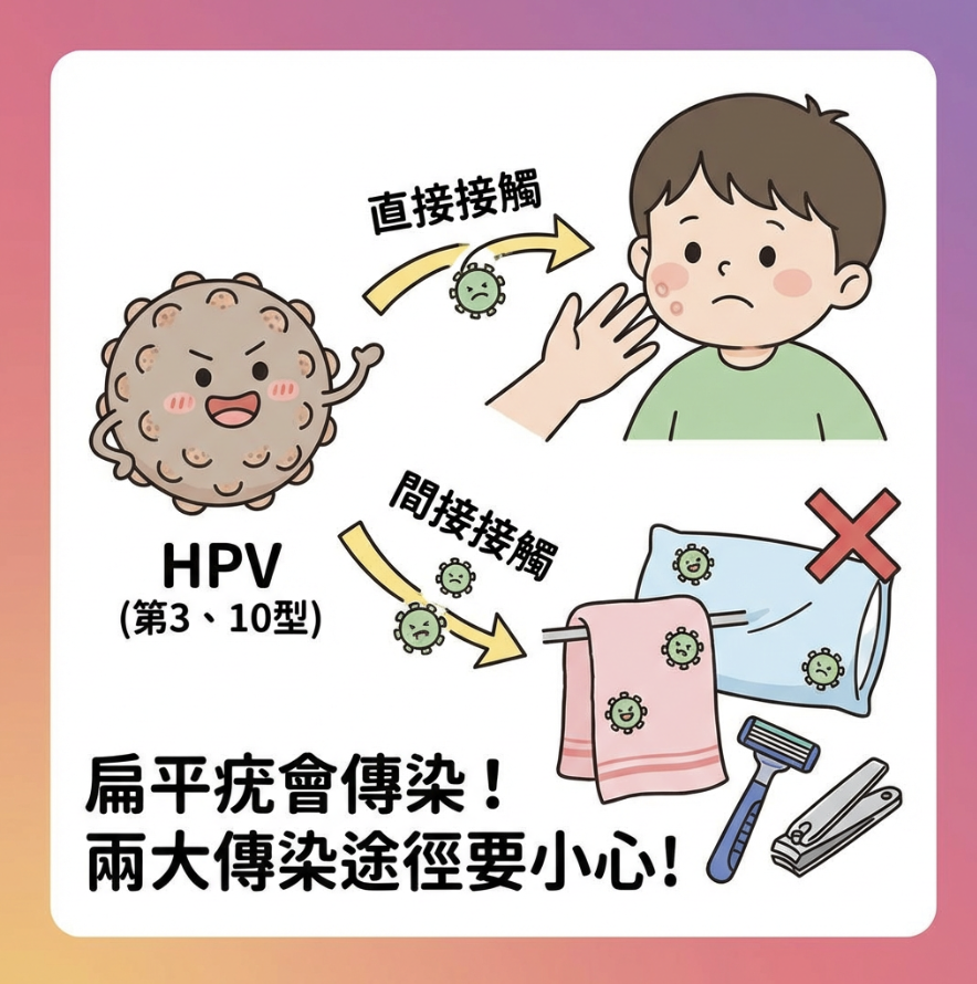 扁平疣傳染途徑