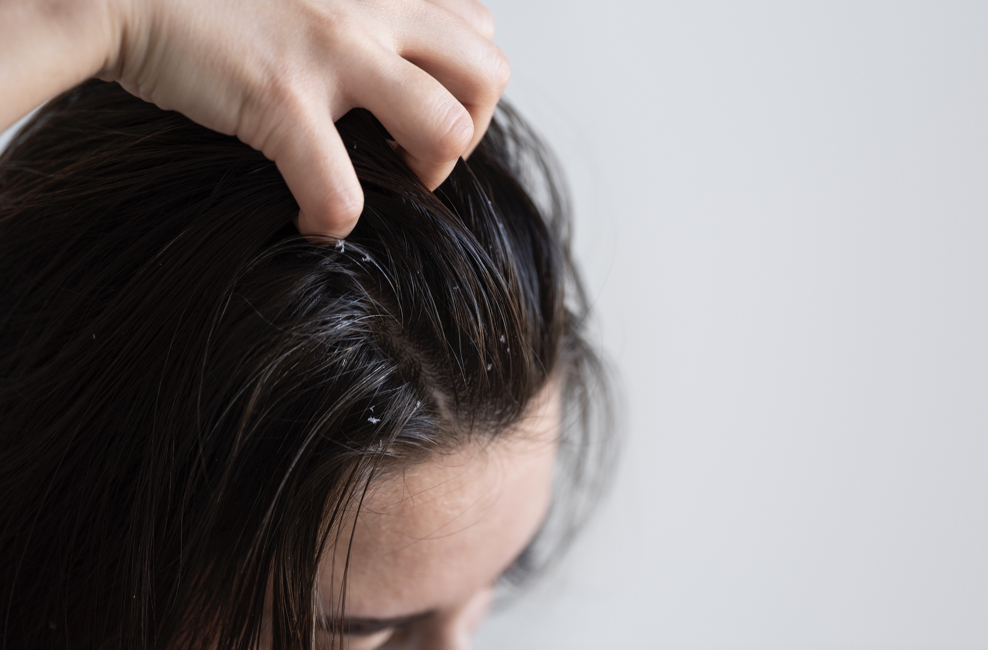 螢幕截圖 2026-02-09 上午11