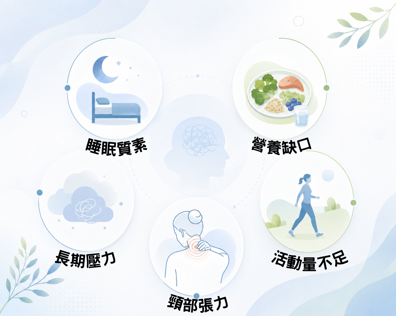 睡眠質素 營養缺口 長期壓力 頸部張力 活動量不足 睡眠質素 營養缺口 長期壓力 頸部張力 活動量不足