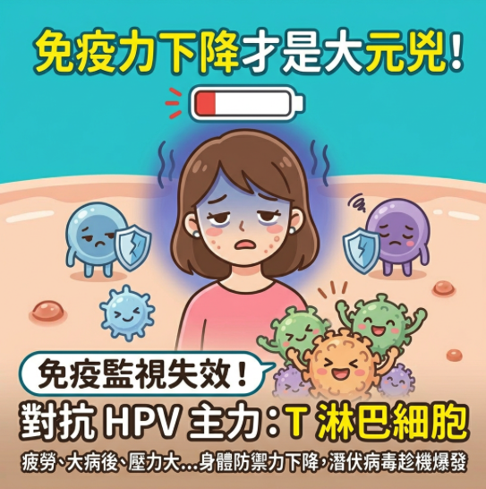 免疫力下降才是元兇！免疫系統與病毒的隱形博弈