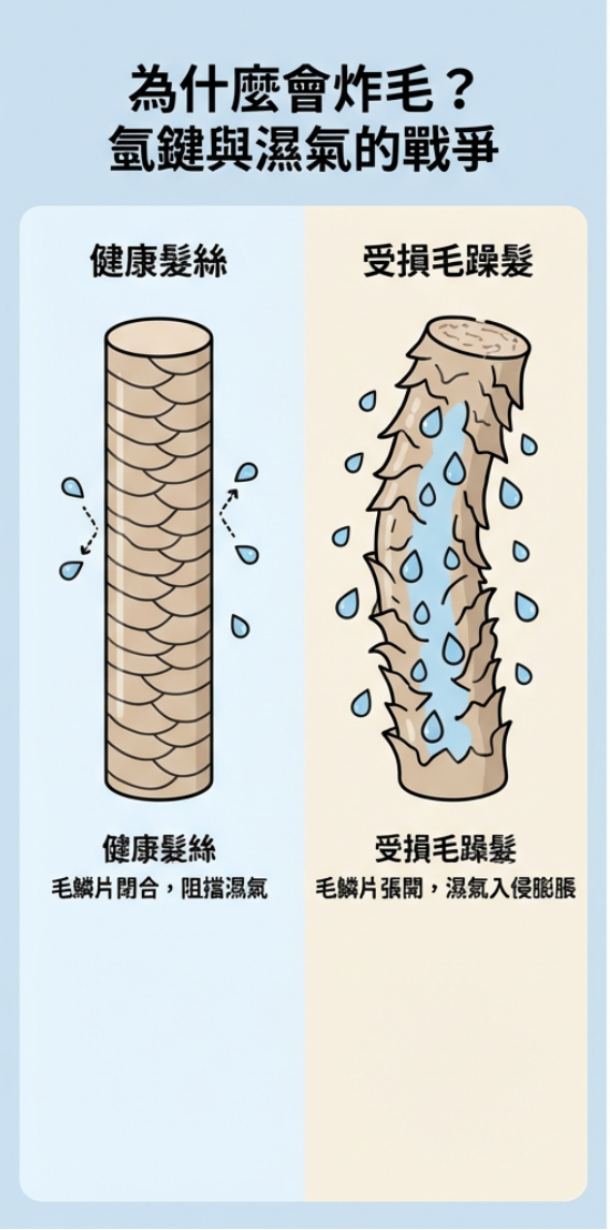 頭髮炸毛原因 頭髮炸毛原因